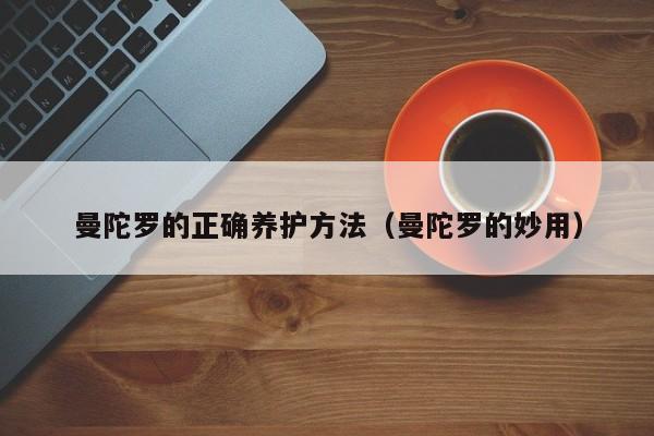 曼陀罗的正确养护方法（曼陀罗的妙用） 